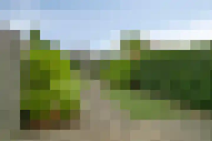 M.A.de Ruijterlaan 34 Goes thumbnail 45