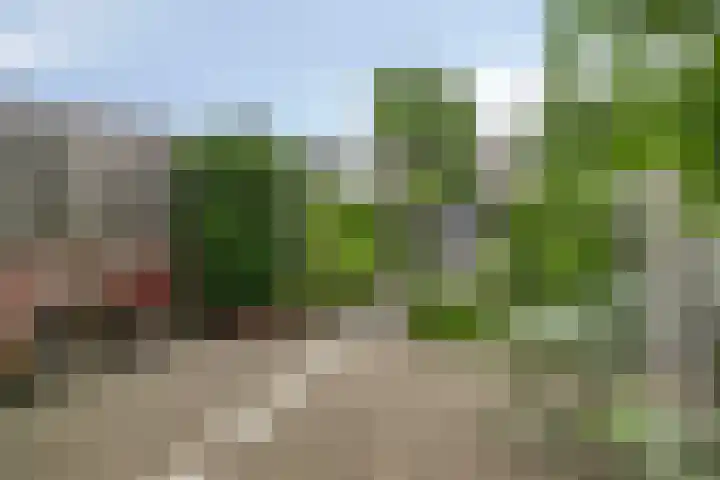 M.A.de Ruijterlaan 34 Goes thumbnail 46