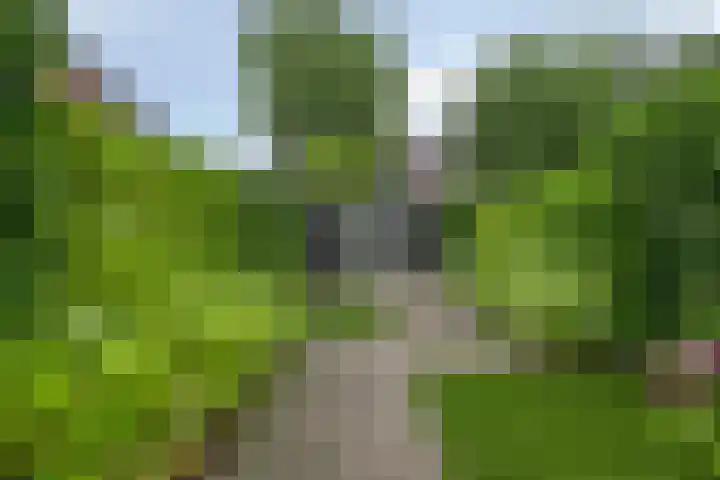 M.A.de Ruijterlaan 34 Goes thumbnail 47