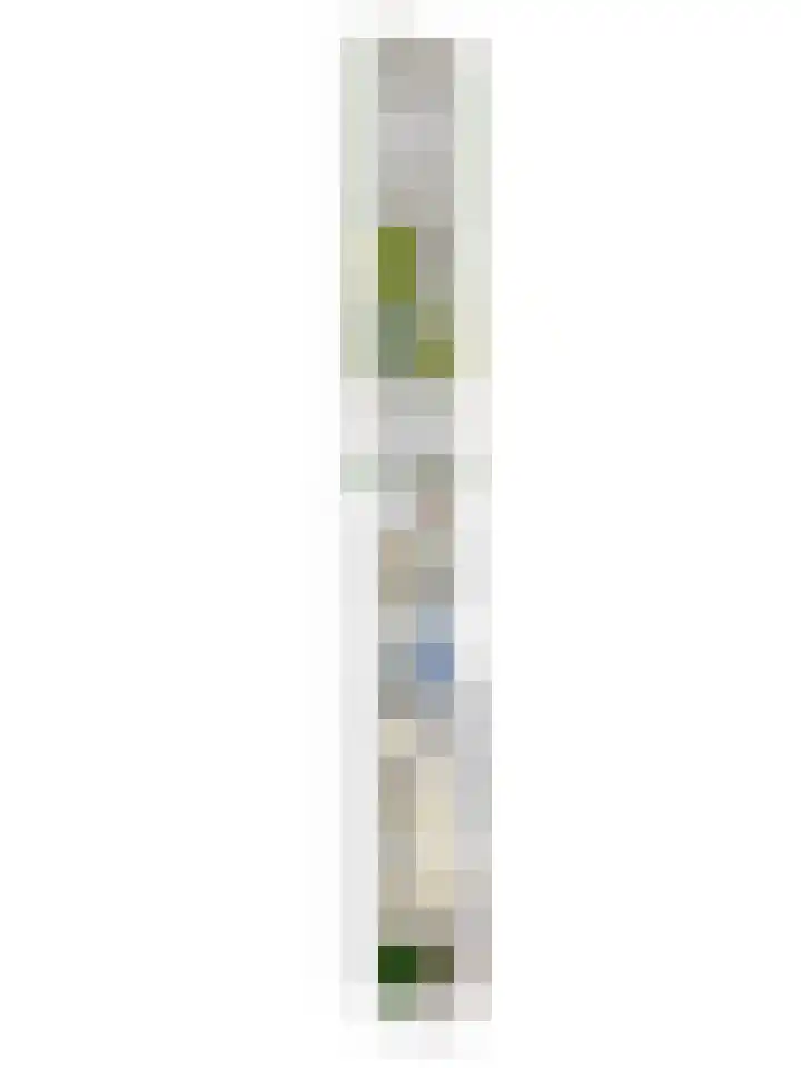 M.A.de Ruijterlaan 34 Goes thumbnail 52