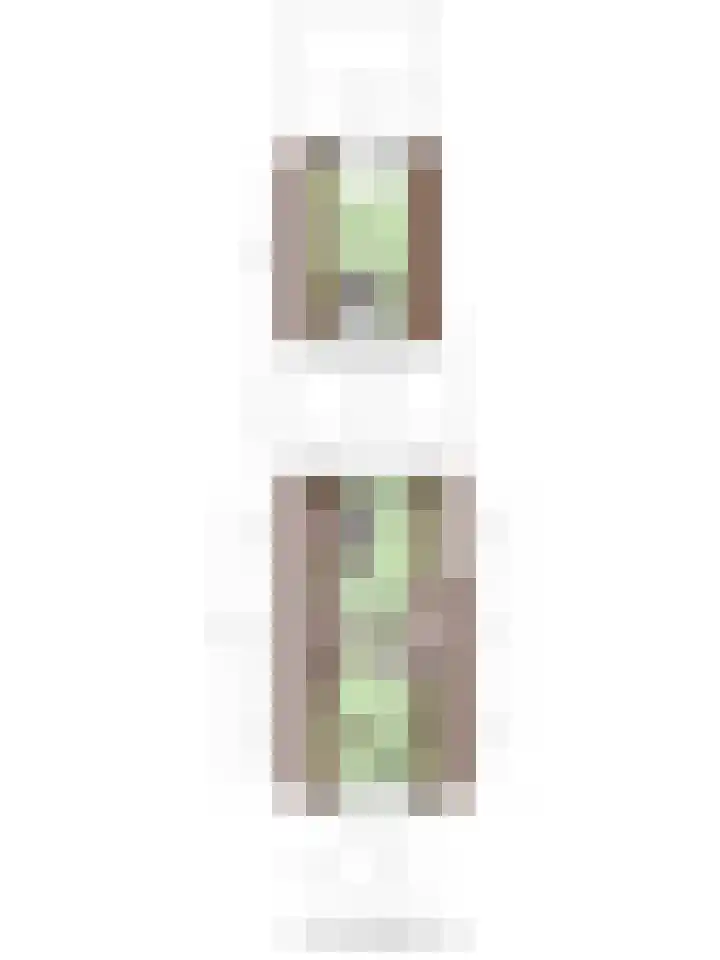 M.A.de Ruijterlaan 34 Goes thumbnail 54