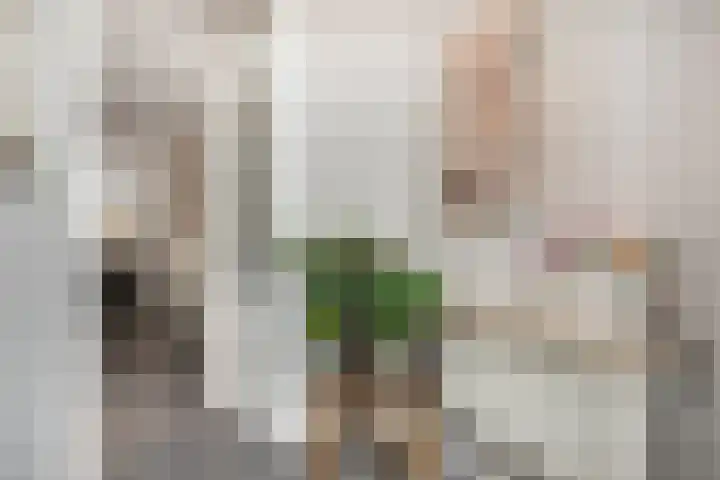 M.A.de Ruijterlaan 34 Goes thumbnail 7