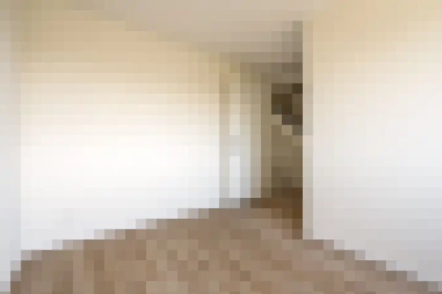 M.A. de Ruijterstraat 8 Sint-Maartensdijk thumbnail 15