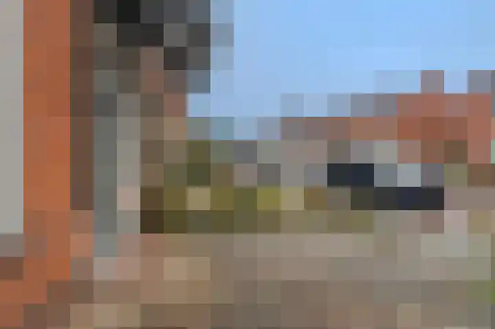 M.A. de Ruyterlaan 39 Winschoten thumbnail 5
