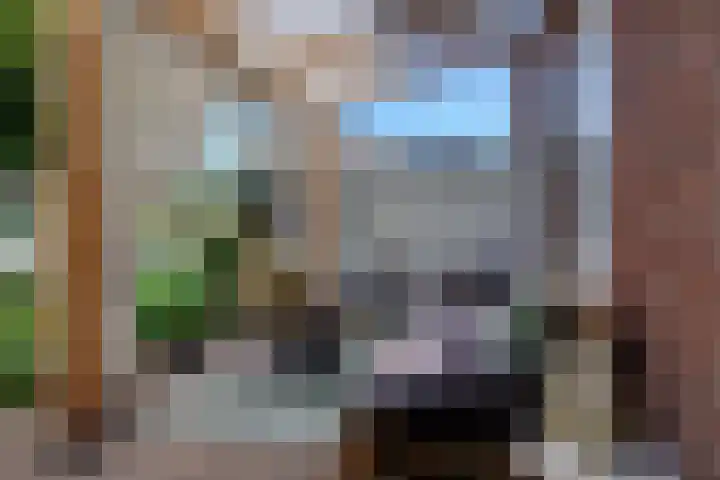 M.A. de Ruyterlaan 50 Winschoten thumbnail 6
