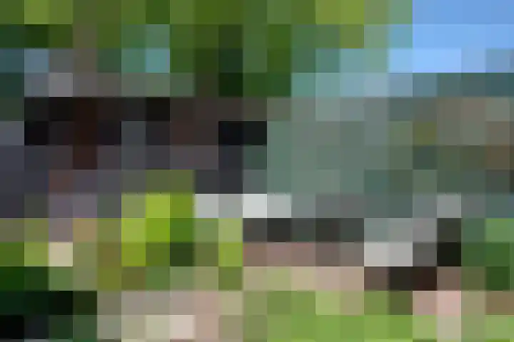 M.A. de Ruyterlaan 50 Winschoten thumbnail 8