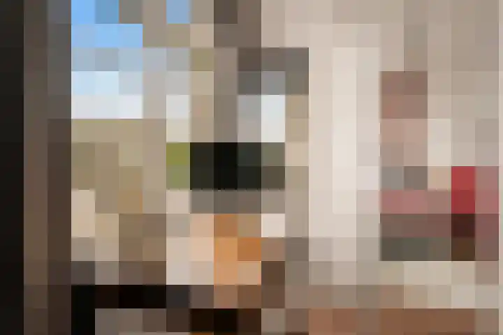 M.A. de Ruyterlaan 96 Winschoten thumbnail 4