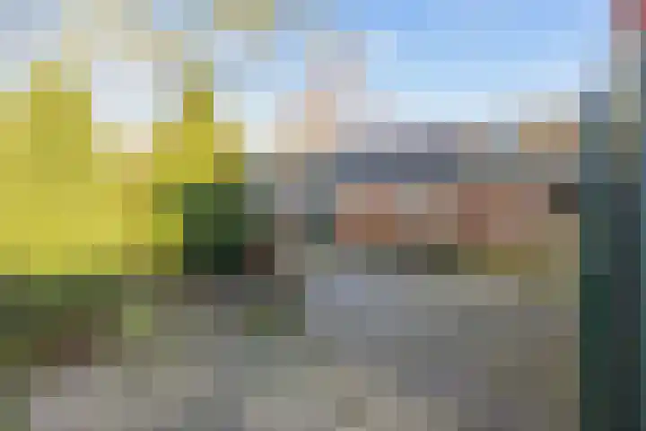 M.A. de Ruyterstraat 37 Roodeschool thumbnail 30