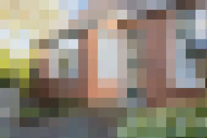 M.A. de Ruyterstraat 37 Roodeschool thumbnail 5