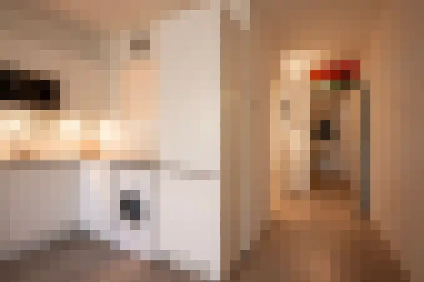 M.A. de Ruyterstraat 4 Utrecht thumbnail 12