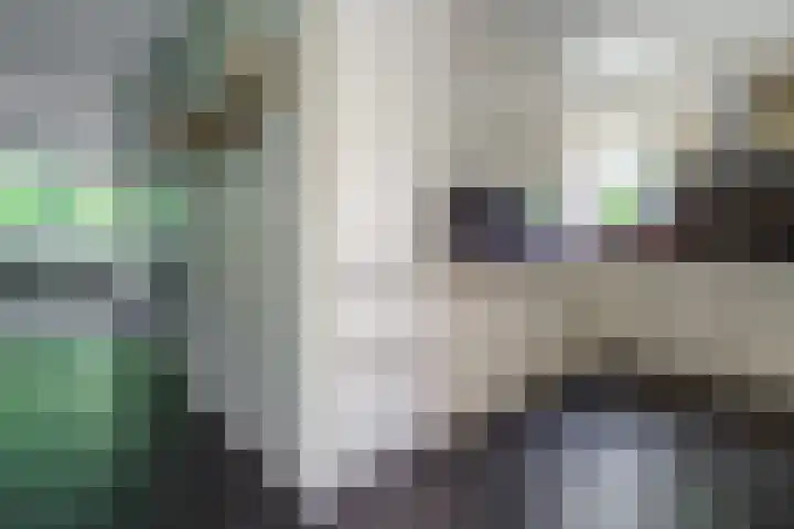 M.A. de Ruyterstraat 50 C Hengelo thumbnail 12