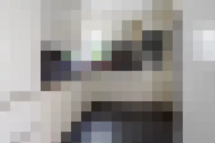 M.A. de Ruyterstraat 50 C Hengelo thumbnail 14
