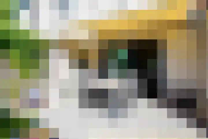 M.A. de Ruyterstraat 50 C Hengelo thumbnail 38