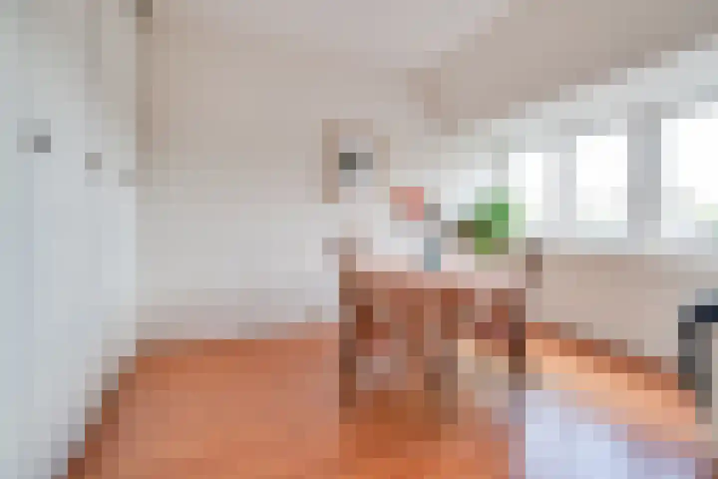 M.A. de Ruyterstraat 64 Utrecht thumbnail 11