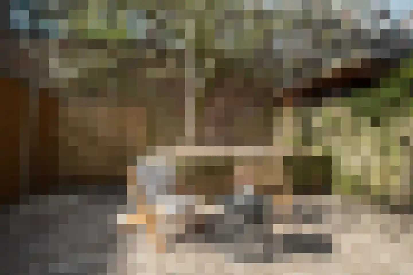 M.A. de Ruyterstraat 78 Utrecht thumbnail 34