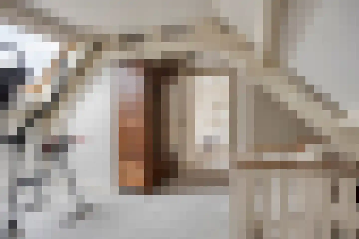 M.A. Reinaldaweg 8 Woerden thumbnail 44