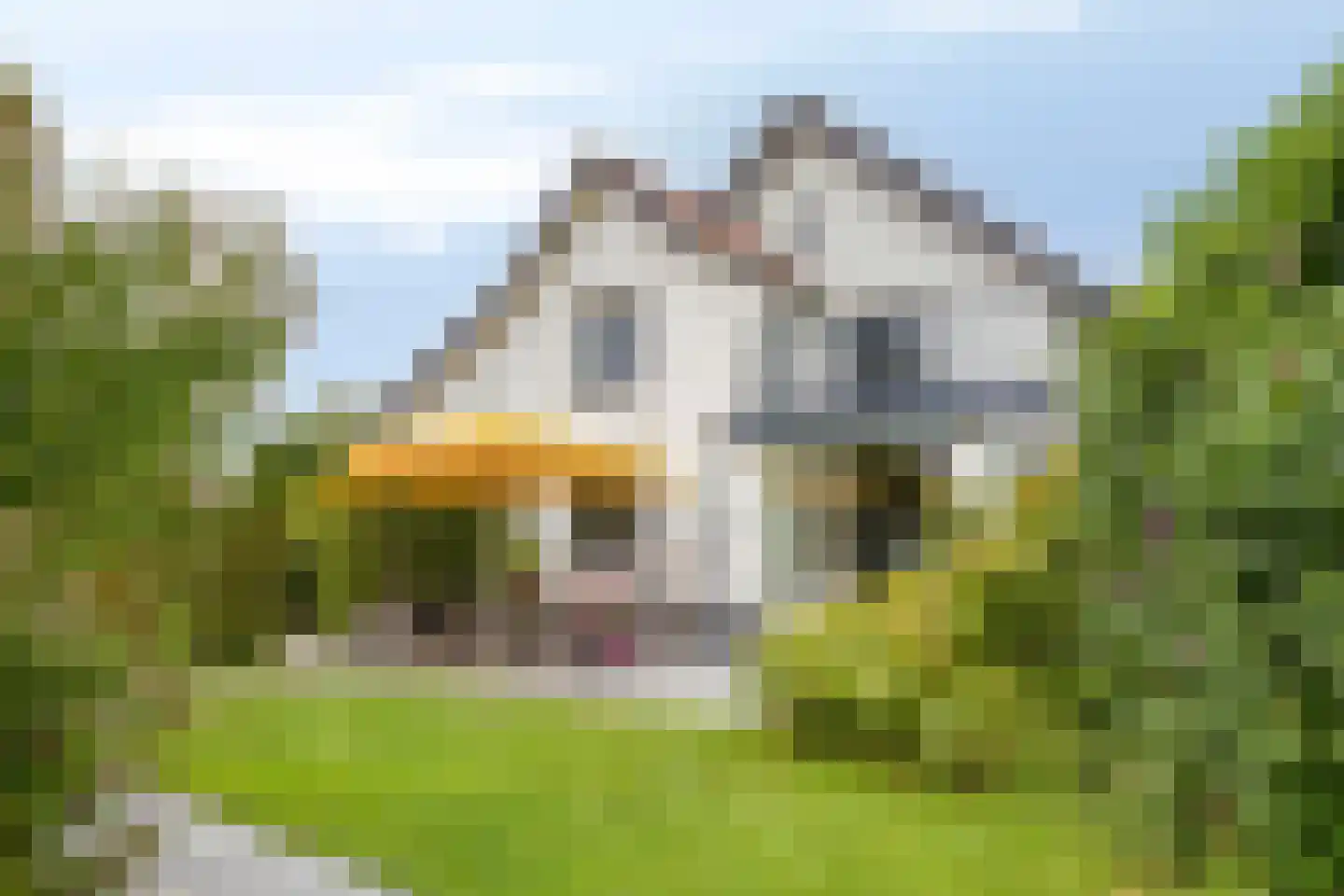 M.A. Reinaldaweg 8 Woerden thumbnail 48