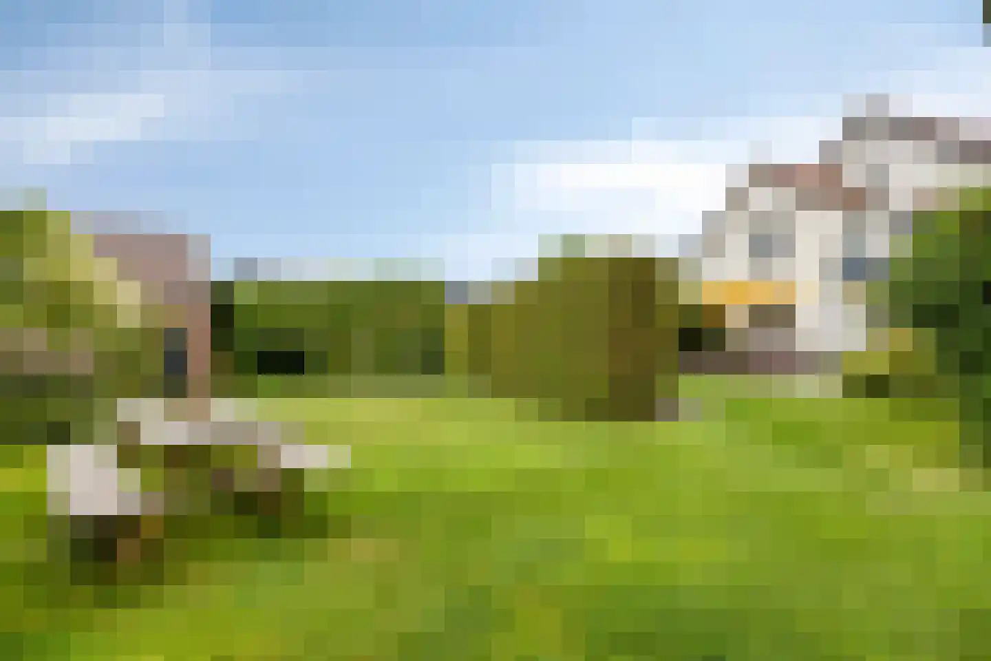 M.A. Reinaldaweg 8 Woerden thumbnail 49