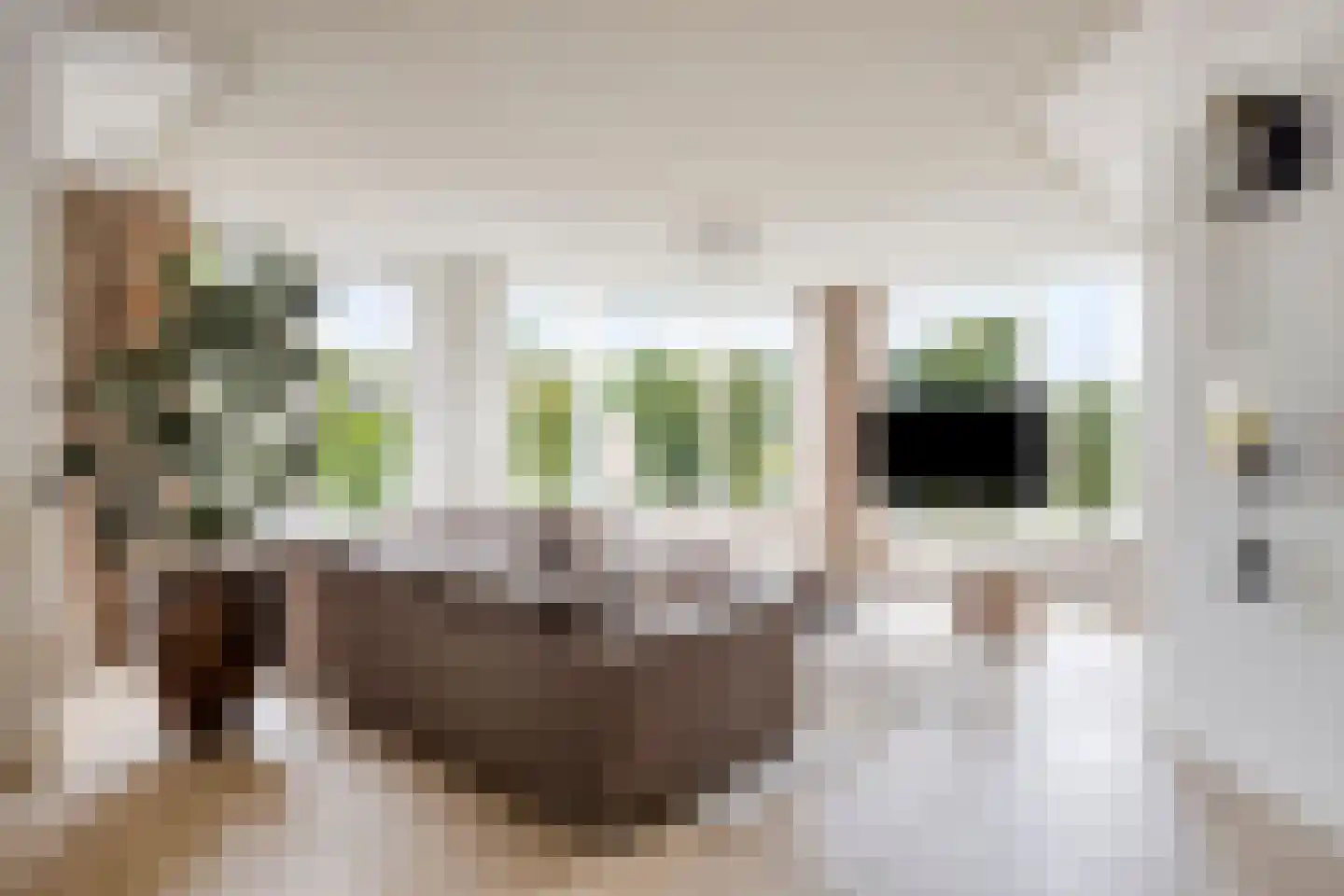 M.A. Reinaldaweg 8 Woerden thumbnail 6