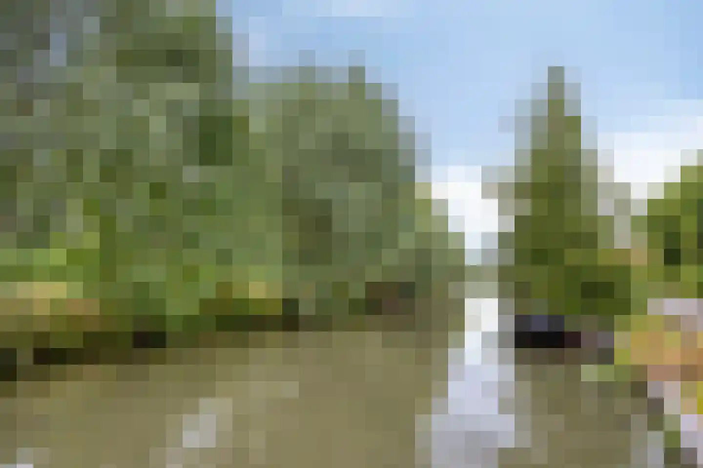 M.A. Reinaldaweg 8 Woerden thumbnail 72