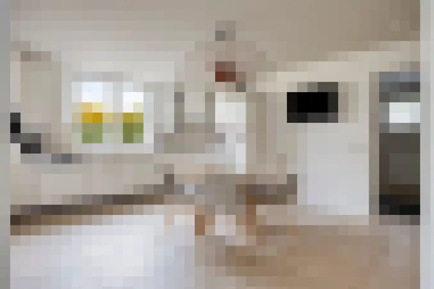 M.A. Reinaldaweg 8 Woerden thumbnail 8