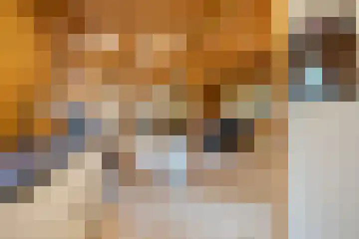 M.A. van Naamen van Eemneslaan 15 Wilhelminaoord thumbnail 10
