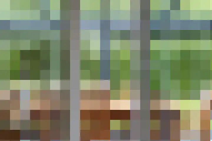 M.A. van Naamen van Eemneslaan 15 Wilhelminaoord thumbnail 12