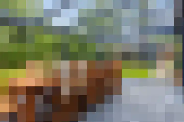 M.A. van Naamen van Eemneslaan 15 Wilhelminaoord thumbnail 13