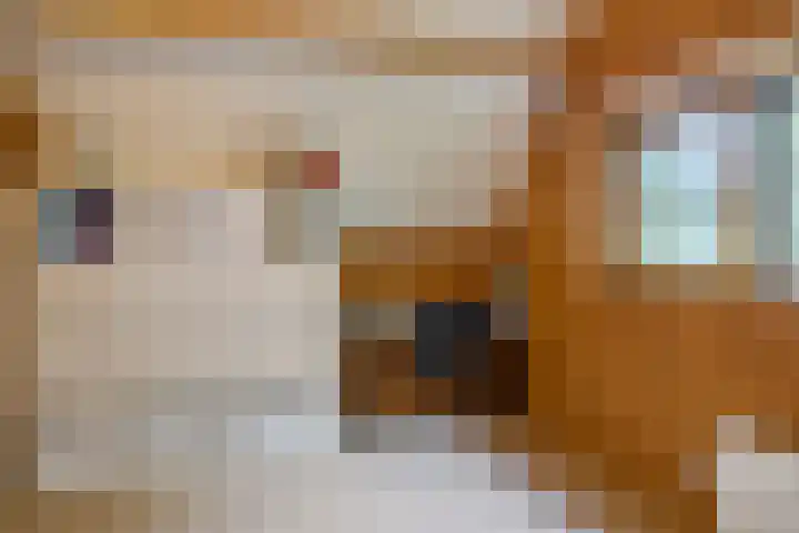 M.A. van Naamen van Eemneslaan 15 Wilhelminaoord thumbnail 21