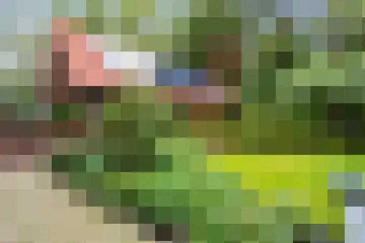 M.A. van Naamen van Eemneslaan 15 Wilhelminaoord thumbnail 22