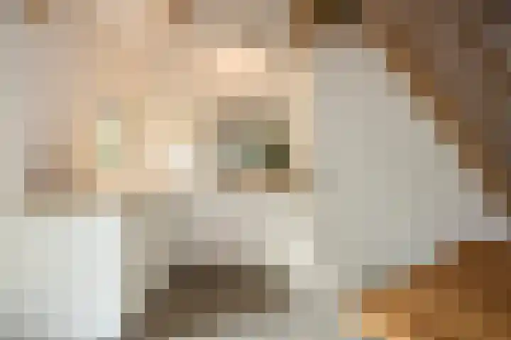 M.A. van Naamen van Eemneslaan 15 Wilhelminaoord thumbnail 24