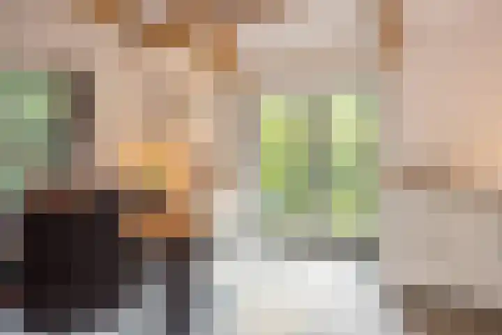 M.A. van Naamen van Eemneslaan 15 Wilhelminaoord thumbnail 25