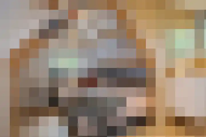 M.A. van Naamen van Eemneslaan 15 Wilhelminaoord thumbnail 27