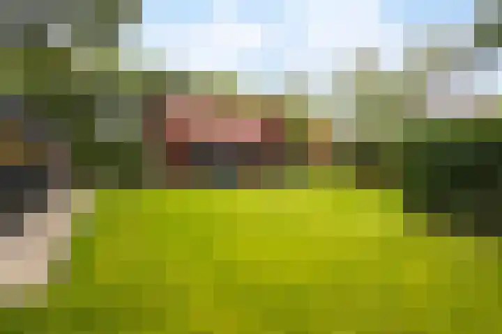 M.A. van Naamen van Eemneslaan 15 Wilhelminaoord thumbnail 29