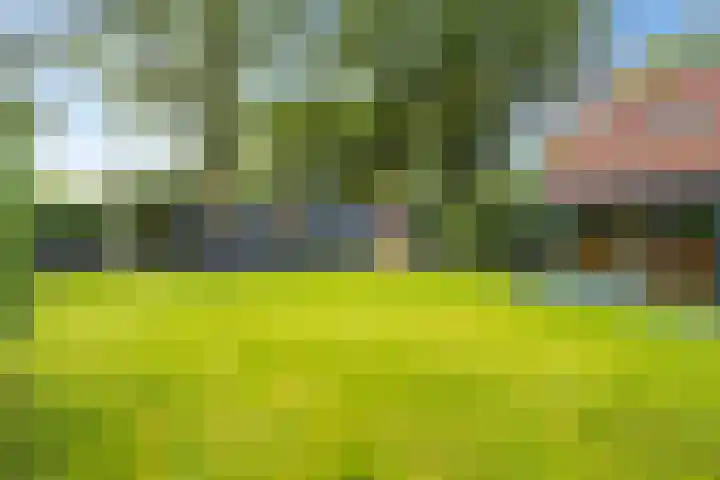 M.A. van Naamen van Eemneslaan 15 Wilhelminaoord thumbnail 30