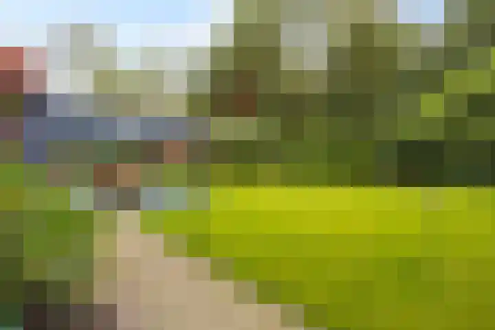 M.A. van Naamen van Eemneslaan 15 Wilhelminaoord thumbnail 32