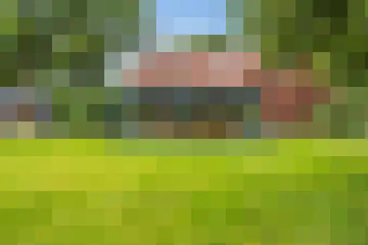 M.A. van Naamen van Eemneslaan 15 Wilhelminaoord thumbnail 33