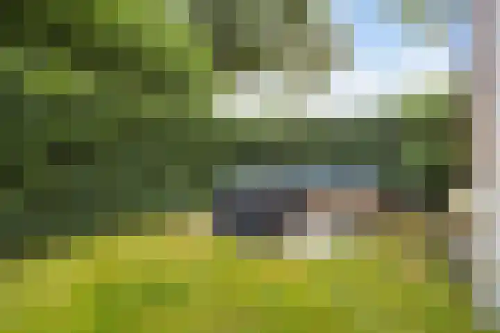 M.A. van Naamen van Eemneslaan 15 Wilhelminaoord thumbnail 34