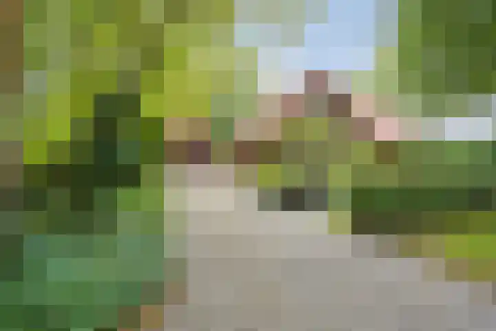 M.A. van Naamen van Eemneslaan 15 Wilhelminaoord thumbnail 35