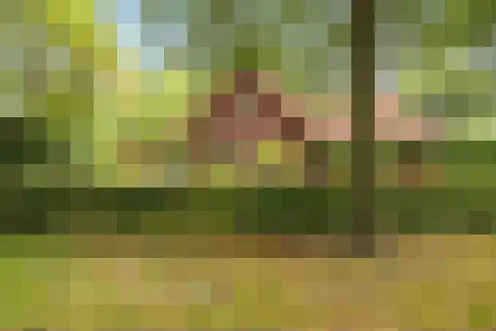 M.A. van Naamen van Eemneslaan 15 Wilhelminaoord thumbnail 36