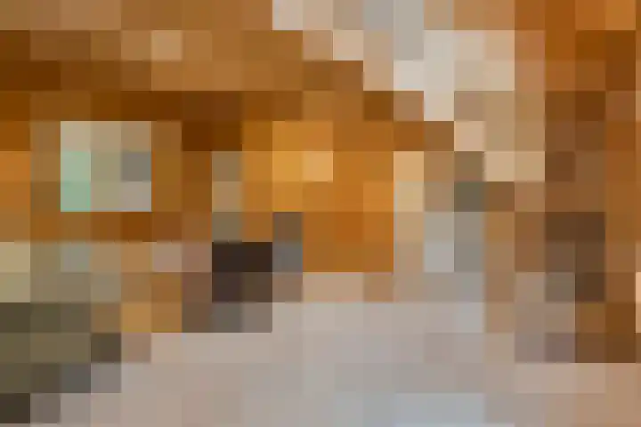 M.A. van Naamen van Eemneslaan 15 Wilhelminaoord thumbnail 5