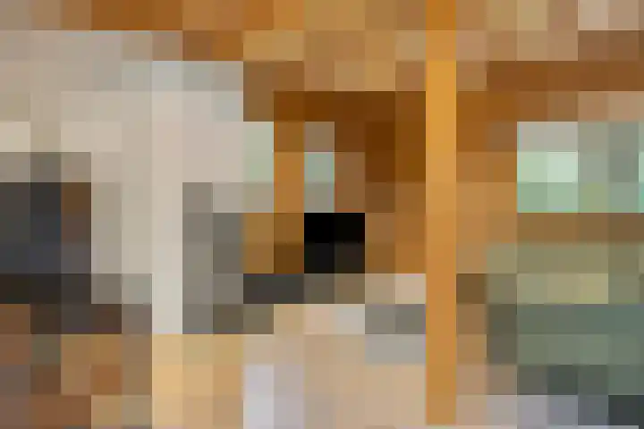 M.A. van Naamen van Eemneslaan 15 Wilhelminaoord thumbnail 6