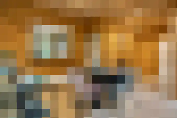 M.A. van Naamen van Eemneslaan 15 Wilhelminaoord thumbnail 7