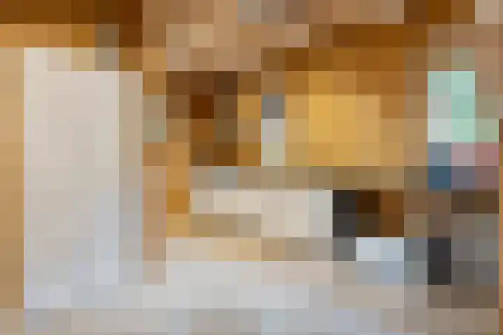 M.A. van Naamen van Eemneslaan 15 Wilhelminaoord thumbnail 8