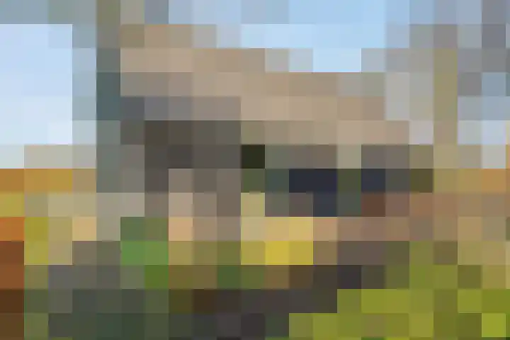 M.A. van Naamen van Eemneslaan 72 a Frederiksoord thumbnail 48
