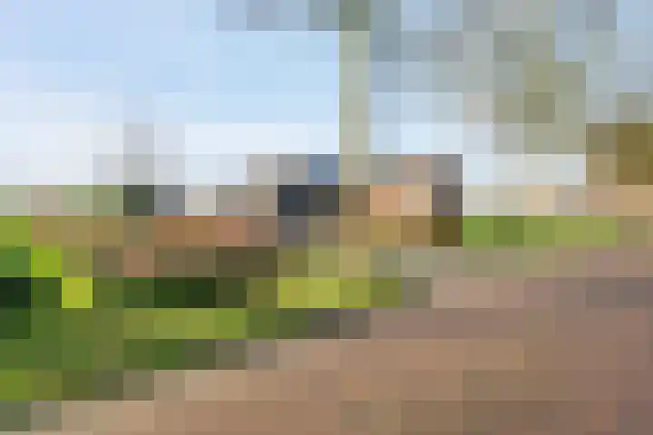 M.A. van Naamen van Eemneslaan 72 a Frederiksoord thumbnail 53