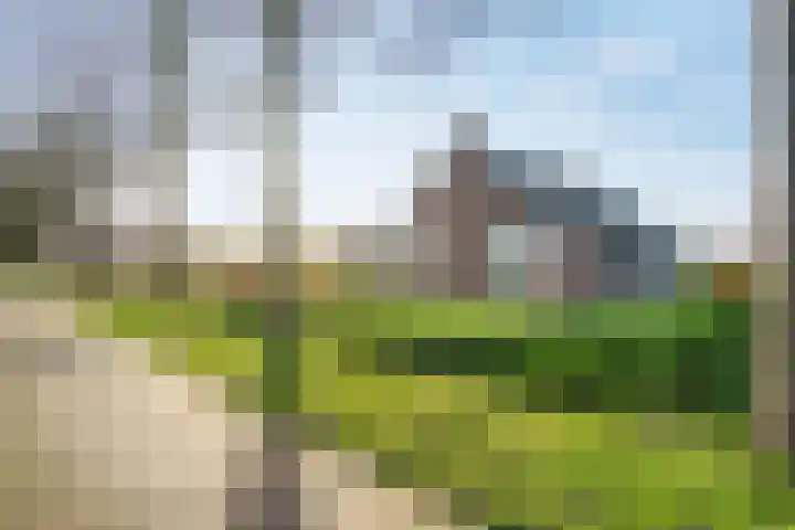 M.A. van Naamen van Eemneslaan 72 a Frederiksoord thumbnail 54