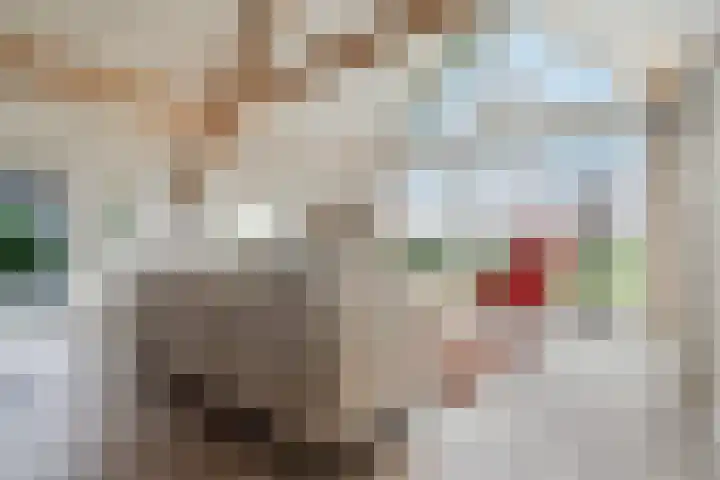 M.A. van Naamen van Eemneslaan 72 a Frederiksoord thumbnail 7