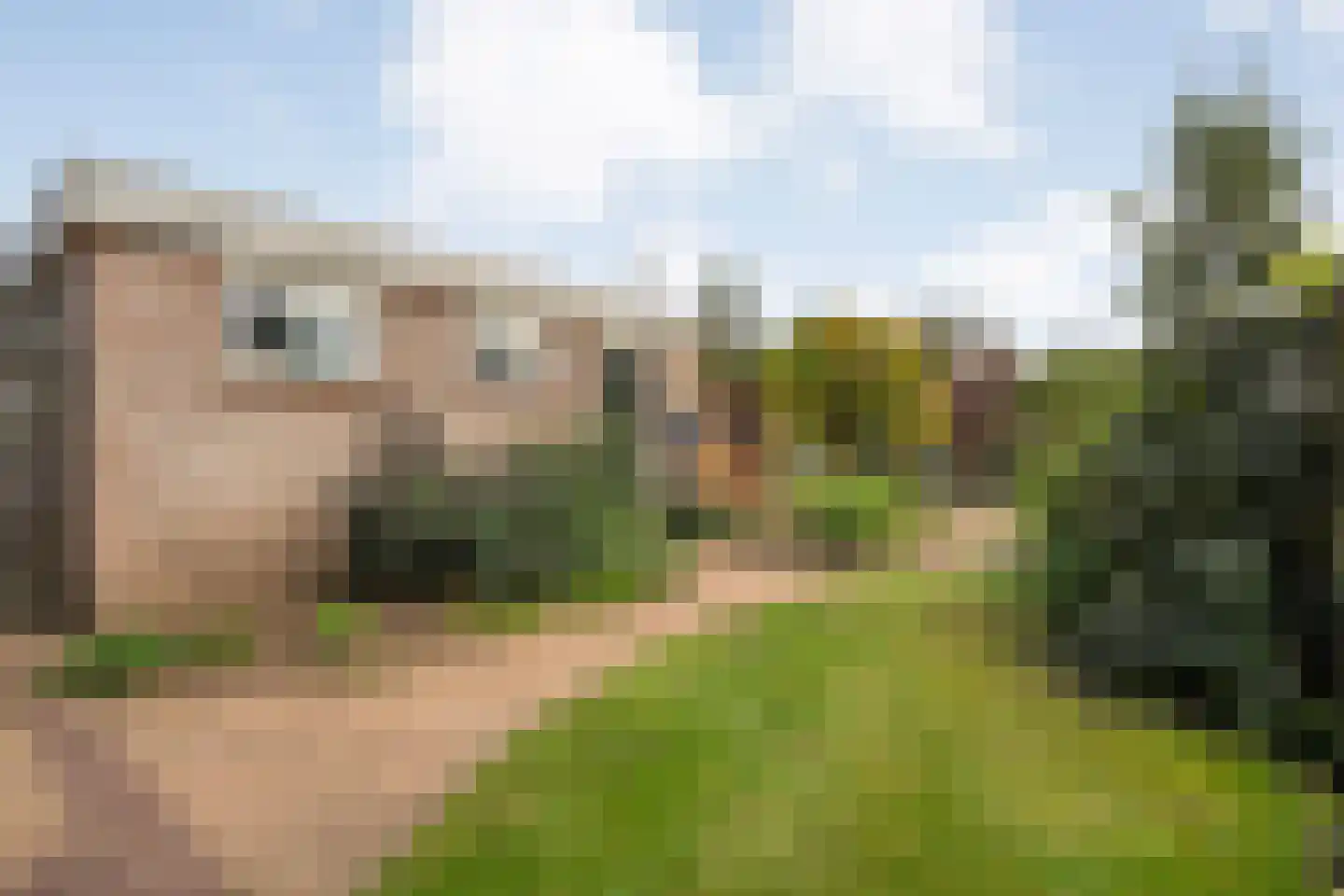 M. Azn. de Ruyterstraat 3 Hardenberg thumbnail 12