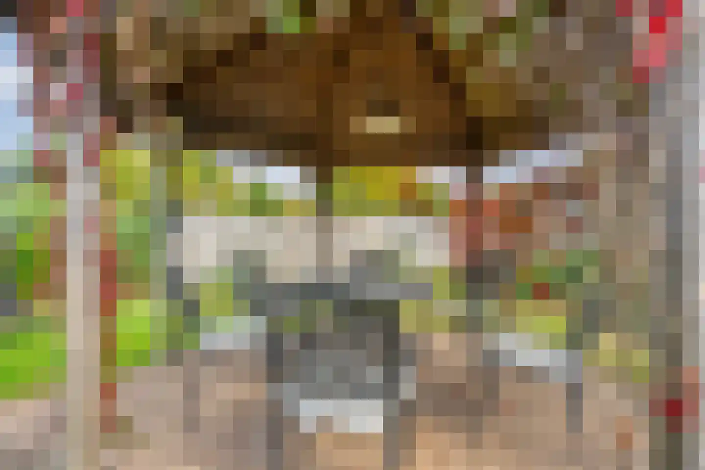 M. Azn. de Ruyterstraat 3 Hardenberg thumbnail 13